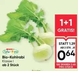 Maximarkt Bio kohlrabi Angebot