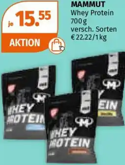 Müller Mammut Angebot