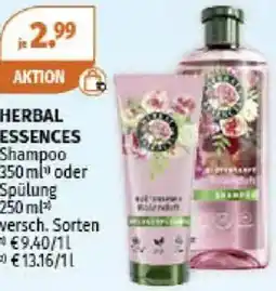 Müller Herbal essences Shampoo Angebot
