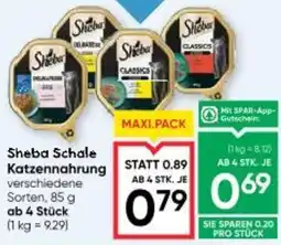 Maximarkt Sheba Schale Katzennahrung Angebot