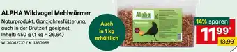 Lagerhaus Alpha wildvogel mehlwürmer Angebot