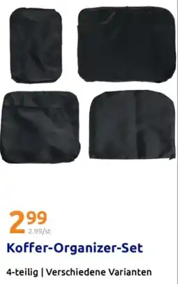 Action Koffer Organizer Set Angebot