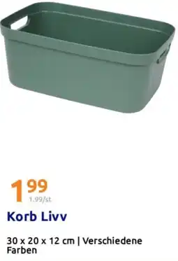 Action Korb Livv Angebot