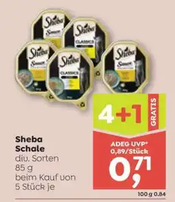 ADEG Sheba Schale Angebot