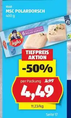 Hofer MSC POLARDORSCH Angebot