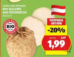 Hofer BIO-SELLERIE AUS ÖSTERREICH Angebot