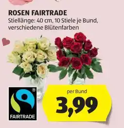 Hofer ROSEN FAIRTRADE Angebot
