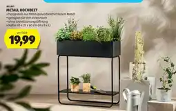 Hofer BELAVI METALL HOCHBEET Angebot