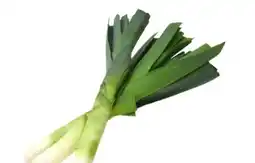 Sizin Foods GmbH Porree Angebot