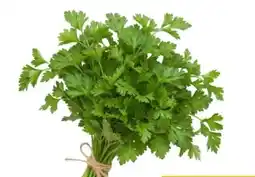 Sizin Foods GmbH Petersilie Angebot