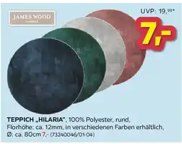 Möbelix James Wood Hochflorteppich Angebot