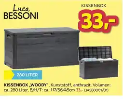 Möbelix Luca Bessoni Kissenbox Angebot