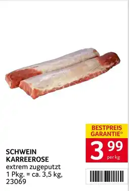 Transgourmet Karreerose Angebot
