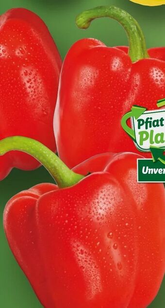 Lidl Paprika Angebot