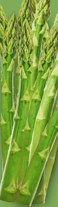 Lidl Spargel Angebot