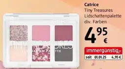 dm Catrice Angebot