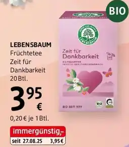 dm Lebensbaum Angebot