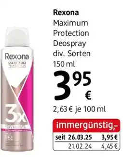 dm Rexona Angebot