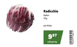 Eurogast Grissemann Radicchio Angebot