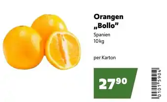 Eurogast Grissemann Orangen ,,Bollo" Angebot