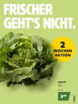 Eurogast Grissemann Kopfsalat Angebot