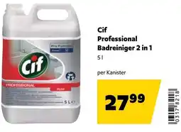 Eurogast Grissemann Cif Professional Badreiniger 2 in 1 Angebot