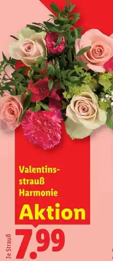 Lidl Valentins- strauß Harmonie Angebot