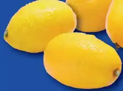Lidl Zitronen Angebot