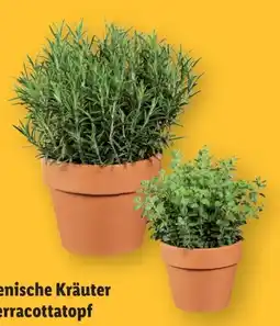 Lidl Italienische Kräuter Angebot