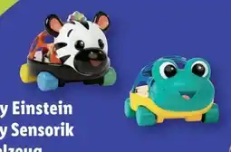 Lidl Baby Einstein Sensorik-Spielzeug Angebot