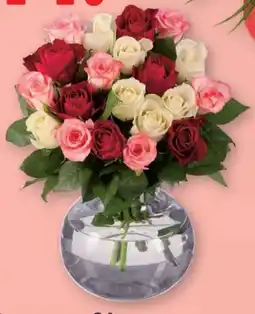 Lidl Bunter Rosenstrauß Angebot