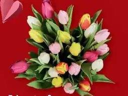 Lidl Bunter Tulpenstrauss Angebot