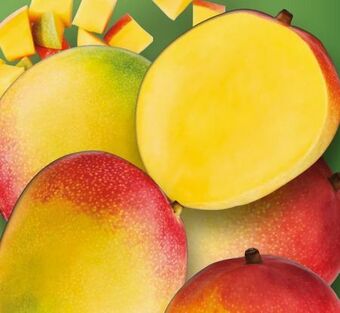 Lidl Mango Angebot