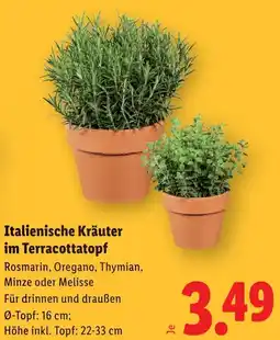 Lidl Italienische Kräuter im Terracottatopf Angebot