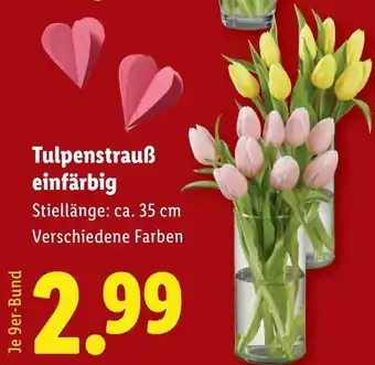 Lidl Tulpenstrauß einfärbig Angebot