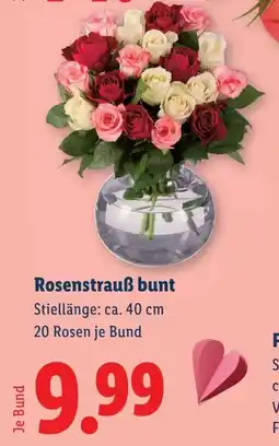 Lidl Rosenstrauß bunt Angebot