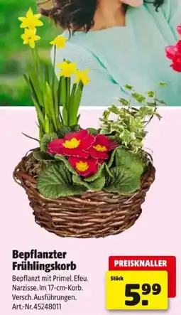 Hagebau Bepflanzter Frühlingskorb Angebot