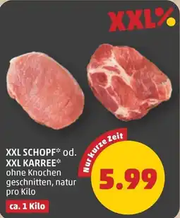 PENNY Xxl schopf od. xxl karree Angebot