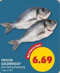 PENNY Frische goldbrasse Angebot