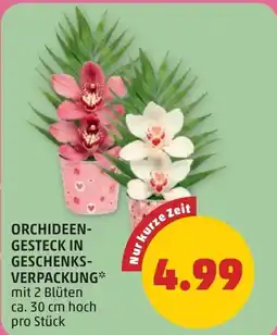 PENNY Orchideen gesteck in geschenks verpackung Angebot