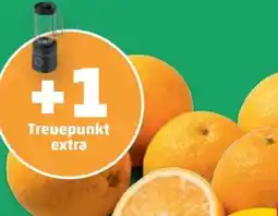 PENNY Marktliebe Orangen Angebot
