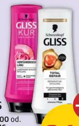 PENNY Schwarzkopf Gliss Kur Shampoo Angebot