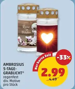 PENNY Ambrosius Angebot