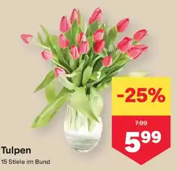 MPreis Tulpen Angebot