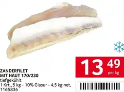 Transgourmet Zanderfilet mit haut 170/230 Angebot