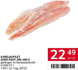 Transgourmet Kabeljaufilet ohne haut Angebot