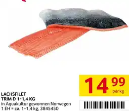 Transgourmet Lachsfilet trim d 1-1,4 kg Angebot