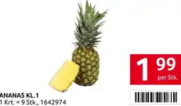 Transgourmet Ananas kl.1 Angebot