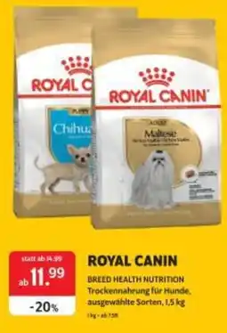 Das Futterhaus Royal canin Angebot