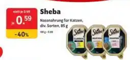 Das Futterhaus Sheba Angebot